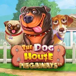 The Dog House Megaways game at Intensity Casino for Australia players